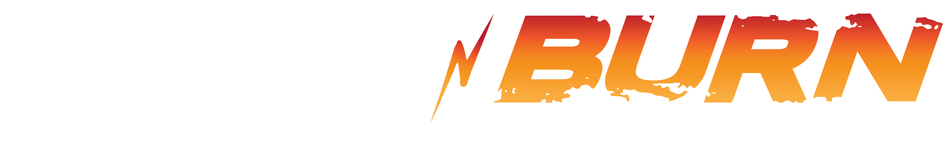 crash-n-burn-logo
